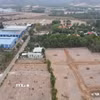 Ảnh minh họa. (Nguồn: TTXVN)