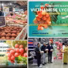 Một số hoạt động xúc tiến vải tại Australia các mùa vụ gần đây do Cơ quan Thương vụ thực hiện như đấu giá, treo thưởng vé máy bay, dùng thử, quảng cáo trên nền tảng trực tuyến có lượng truy cập lớn. (Ảnh: TTXVN phát)