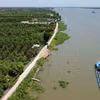 Sụt lún, sạt lở 'tấn công' sát vào đường đê bao cồn Ông, xã Tân Khánh Trung, huyện Lấp Vò. (Ảnh: Nhựt An/TTXVN)