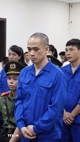Các bị cáo tại phiên tòa. (Ảnh: Kim Anh/TTXVN)
