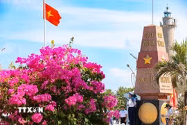 Các đảo trên quần đảo Trường Sa đã được che phủ bởi nhiều loại cây và rau xanh, hoa tươi, góp phần điều hòa khí hậu, tạo bóng mát, gìn giữ đất, công trình, chống biến đổi khí hậu, cải thiện cuộc sống, giữ vững an ninh, chủ quyền quốc gia trên biển. Trong ảnh: Sắc hoa thắm trên đảo Song Tử Tây. (Ảnh: Hoàng Hiếu/TTXVN)