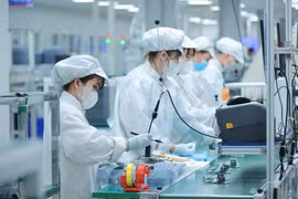 Việt Nam đã và đang triển khai chiến lược đào tạo nhân lực chất lượng cao ngành công nghiệp bán dẫn. (Ảnh minh họa. Hoàng Hiếu/TTXVN)