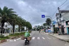 Biển báo giao thông được dựng sau vị trí người đi bộ sang ngang. (Ảnh: Sỹ Thắng/TTXVN)