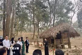 Tuyên Quang: Đoàn kiều bào dâng hương ở Khu di tích Quốc gia đặc biệt Tân Trào