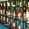Không gian trưng bày các sản phẩm Làng Gốm Việt tại lễ công bố. (Ảnh: TTXVN phát)