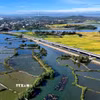 Hiện khu vực này vẫn còn tồn tại nhiều hồ nuôi tôm, xã Tịnh Khê định hướng sẽ tuyên truyền, vận động người dân tiếp tục trồng mới diện tích rừng ngập mặn. (Ảnh: Đinh Hương/TTXVN)