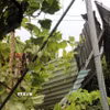 Mái tôn ở sân nhà Đinh Văn Thiếp, thôn Quang Hưng (xã Bình Thanh, tỉnh Hưng Yên) bị vòi rồng quét qua, xé tan. (Ảnh: Nguyễn Công Hải/TTXVN)