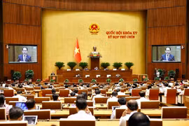 Quang cảnh phiên họp. (Ảnh: TTXVN)