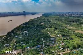 Nhiều diện tích bãi sông có tiềm năng phát triển nông nghiệp sinh thái. (Ảnh: Trung Nguyên/TTXVN)