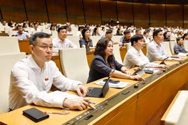 Các đại biểu Quốc hội biểu quyết thông qua dự án luật tại Kỳ họp thứ 9, Quốc hội khóa XV. (Ảnh: TTXVN)