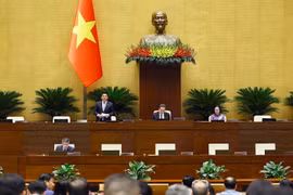 Phó Chủ tịch Quốc hội Nguyễn Hồng Diên phát biểu tại phiên họp sáng 24/10. (Ảnh: Doãn Tấn/TTXVN)