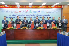 Ký kết hợp đồng nguyên tắc giữa VNPOLY và các đơn vị VINATEX Nam Định, Dệt may Nam Định, Dệt may Hà Nội, Dệt 8/3. (Ảnh: PV/Vietnam+)