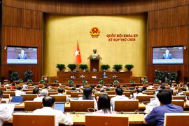 Quốc hội thảo luận về Luật Chất lượng sản phẩm, hàng hóa. (Ảnh: TTXVN)