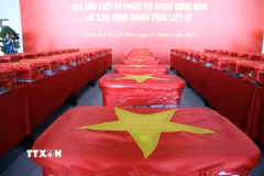 Các mẫu sinh phẩm hài cốt liệt sỹ được niêm phong, đóng gói nghiêm ngặt vào thùng chuyên dụng, phủ Quốc kỳ trước khi được đưa lên máy bay. (Ảnh: Xuân Khu/TTXVN)