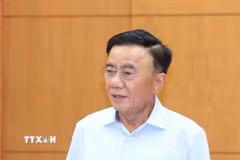 Thường trực Ban Bí thư Trần Cẩm Tú phát biểu chỉ đạo tại buổi làm việc. (Ảnh: Phương Hoa/TTXVN)