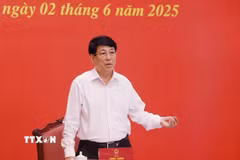 Chủ tịch nước Lương Cường phát biểu chỉ đạo. (Ảnh: Lâm Khánh/TTXVN)