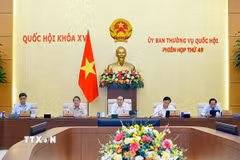 Chủ tịch Quốc hội Trần Thanh Mẫn phát biểu. (Ảnh: Doãn Tấn/TTXVN)
