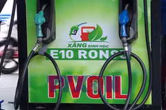 Ôtô và bước chuyển sang xăng sinh học E10: Hướng tới giao thông xanh 