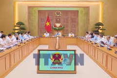 Thủ tướng yêu cầu hoàn thiện đồng bộ 3 luật về đất đai, nhà ở, bất động sản 