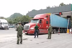 Nhiều cửa khẩu tạm dừng thông quan hàng hóa dịp Tết