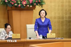Đồng chí Phạm Thị Thanh Trà, Bí thư Trung ương Đảng, Phó Thủ tướng, Trưởng Ban Chỉ đạo Nhà nước về Du lịch phát biểu. (Ảnh: An Đăng/TTXVN)