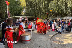 Màn múa lân khai mạc thu hút đông đảo trẻ em và người dân, trong đó có nhiều bạn bè Bỉ và quốc tế. (Ảnh: Duy Tùng/TTXVN)