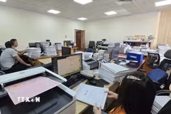 Lượng hồ sơ khủng mà cán bộ Văn phòng đăng ký đất đai phải scan, sắp xếp phục vụ công tác làm sạch dữ liệu đất đai. (Ảnh: Thanh Vân/TTXVN)