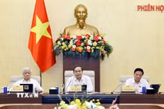 Chủ tịch Quốc hội Trần Thanh Mẫn phát biểu. (Ảnh: Doãn Tấn/TTXVN)