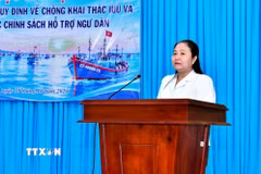 Bà Quách Thị Thanh Bình, Phó Giám đốc Sở Nông nghiệp và Môi trường thành phố Cần Thơ phát biểu tại hội nghị. (Ảnh: TTXVN phát)