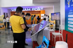 Các đại biểu trải nghiệm công nghệ số tại lễ phát động Bình dân học vụ số ở Ninh Bình. (Ảnh: Nguyễn Chinh/TTXVN)