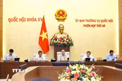 Chủ tịch Quốc hội Trần Thanh Mẫn phát biểu. (Ảnh: Doãn Tấn/TTXVN)