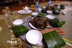 Mâm lễ cúng cơm mới của người Thái chỉ có các món làm từ cá hấp, nướng cùng những gói xôi đồ từ lúa nương. (Ảnh: Trọng Đạt/ TTXVN)