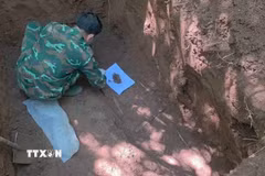 Ngày 3/10, Đội Tìm kiếm, quy tập hài cốt liệt sỹ số 1, Phòng Chính trị, Bộ Chỉ huy Quân sự tỉnh Quảng Trị đã tìm thấy, cất bốc và quy tập thêm 3 hài cốt liệt sỹ tại khu vực rừng tràm thuộc bản Bãi Dinh, xã Dân Hóa, tỉnh Quảng Trị và đưa các anh trở về. (Ảnh: TTXVN phát)