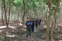 Ngày 3/10, Đội Tìm kiếm, quy tập hài cốt liệt sỹ số 1, Phòng Chính trị, Bộ Chỉ huy Quân sự tỉnh Quảng Trị đã tìm thấy, cất bốc và quy tập thêm 3 hài cốt liệt sỹ tại khu vực rừng tràm thuộc bản Bãi Dinh, xã Dân Hóa, tỉnh Quảng Trị và đưa các anh trở về. (Ảnh: TTXVN phát)