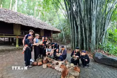 Du khách quốc tế trải nghiệm tại Bản làng Thái Hải, xã Tân Cương (Thái Nguyên). (Ảnh: Thu Hằng/TTXVN)