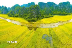 Tam Cốc-Bích Động nằm trong Quần thể Danh thắng Tràng An đã được UNESCO công nhận là Di sản Văn hóa, Thiên nhiên Thế giới. (Ảnh: Minh Đức/TTXVN)