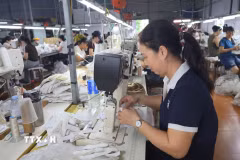Nếu lãi suất vay vốn vượt 10%/năm, doanh nghiệp gần như không còn lợi nhuận sau khi tính toán các chi phí liên quan. (Ảnh minh họa: Minh Thu/TTXVN)