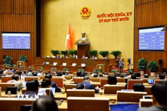 Quốc hội biểu quyết thông qua Luật sửa đổi, bổ sung một số điều của Luật Tiếp công dân, Luật Khiếu nại, Luật Tố cáo. (Ảnh: Doãn Tấn/ TTXVN)