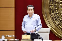 Chủ tịch Quốc hội Trần Thanh Mẫn phát biểu. (Ảnh: Doãn Tấn/TTXVN)