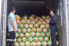 Cán bộ Hải quan cửa khẩu Hữu Nghị (Lạng Sơn) kiểm tra mặt hàng xuất khẩu tại cửa khẩu. (Ảnh: Quang Duy/TTXVN)