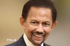 Quốc vương Brunei Darussalam Haji Hassanal Bolkiah. (Ảnh: TTXVN phát)