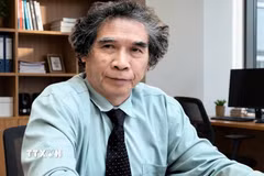 Phó Giáo sư, Tiến sỹ Nguyễn Thường Lạng, Giảng viên cao cấp Viện Thương mại và Kinh tế Quốc tế, Đại học Kinh tế Quốc dân đề xuất thành lập đầu mối chuyên trách để theo dõi, xử lý dứt điểm các điểm nghẽn và quy trách nhiệm rõ ràng. (Ảnh: Diệu Thúy/TTXVN)