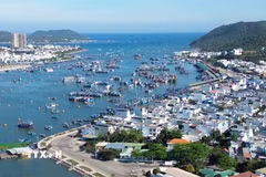 Phường Nam Nha Trang, tỉnh Khánh Hòa. (Ảnh: Nguyễn Thành/TTXVN)