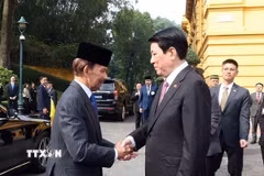 Chủ tịch nước Lương Cường đón Quốc vương Brunei Darussalam Haji Hassanal Bolkiah. (Ảnh: Lâm Khánh/TTXVN)