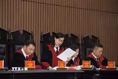 Thành viên Ủy ban thẩm phán Tòa án nhân dân thành phố Hà Nội phát biểu tại phiên tòa giám đốc thẩm chiều 30/9/2025 - phiên tòa giám đốc thẩm đầu tiên của Tòa án Nhân dân thành phố Hà Nội sau Nghị quyết 81. (Ảnh: Kim Anh/TTXVN)