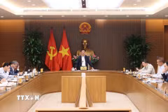 Phó Thủ tướng Hồ Đức Phớc chủ trì cuộc họp về dự thảo Nghị định cơ cấu lại vốn nhà nước tại doanh nghiệp. (Ảnh: An Đăng/TTXVN)