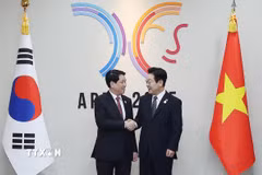 Chủ tịch nước Lương Cường hội đàm với Tổng thống Hàn Quốc Lee Jae Myung. (Ảnh: Lâm Khánh/TTXVN)