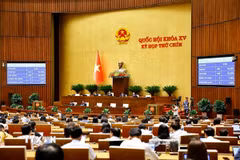 Quốc hội biểu quyết thông qua Luật Quản lý và đầu tư vốn nhà nước tại doanh nghiệp. (Ảnh: Doãn Tấn/TTXVN)