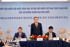 Chủ tịch Quốc hội Trần Thanh Mẫn phát biểu tại cuộc gặp gỡ những người bạn Hàn Quốc. (Ảnh: Doãn Tấn/TTXVN)