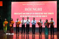 Thường trực Thành ủy Đà Nẵng trao quyết định về thành lập các Đảng bộ trực thuộc Thành ủy; quyết định đổi tên Ban Tuyên giáo và Dân vận Thành ủy và các nhân sự chủ chốt được chỉ định. (Ảnh: Anh Dũng/TTXVN)